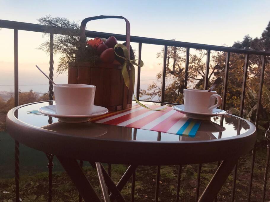 Cozy Mountain Chalet لا أوروتافا المظهر الخارجي الصورة